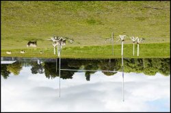 Upside-down rugby paddock